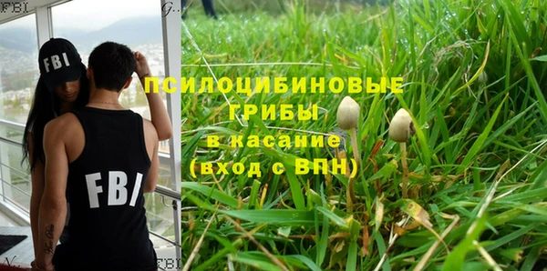 мяу мяу мука Гусиноозёрск