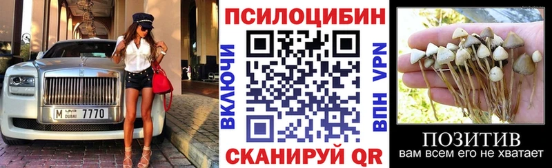дарнет шоп  Скопин  Псилоцибиновые грибы Magic Shrooms 